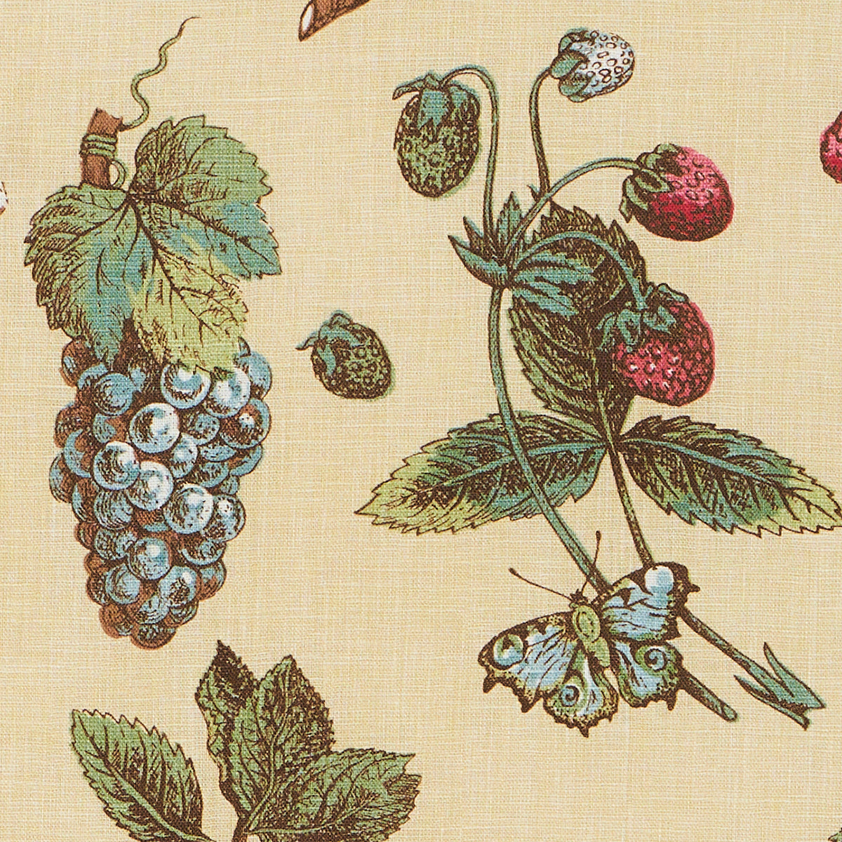 BERRY-GROVE-BUTTER-SCHUMACHER-181892