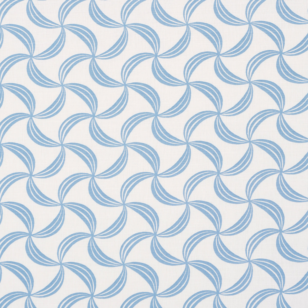 AMBROSIA-BLUE-SCHUMACHER-181922