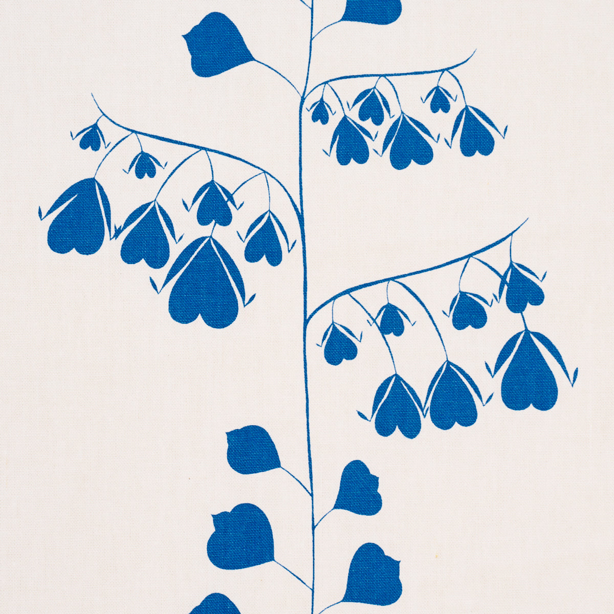 BLEEDING-HEARTS-BLUE-SCHUMACHER-181961