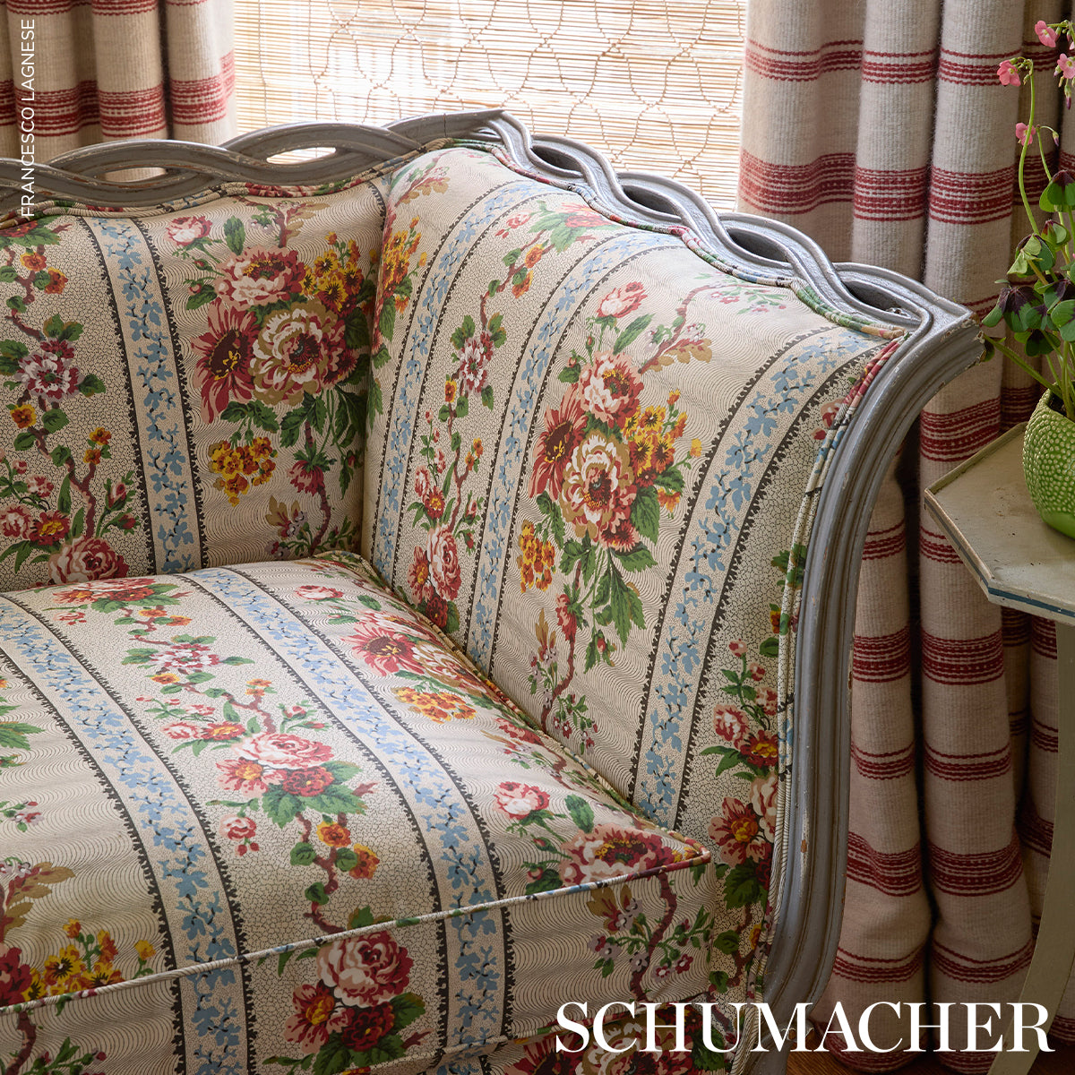 ELIZABETH-CHINTZ-ROSE-SCHUMACHER-182040