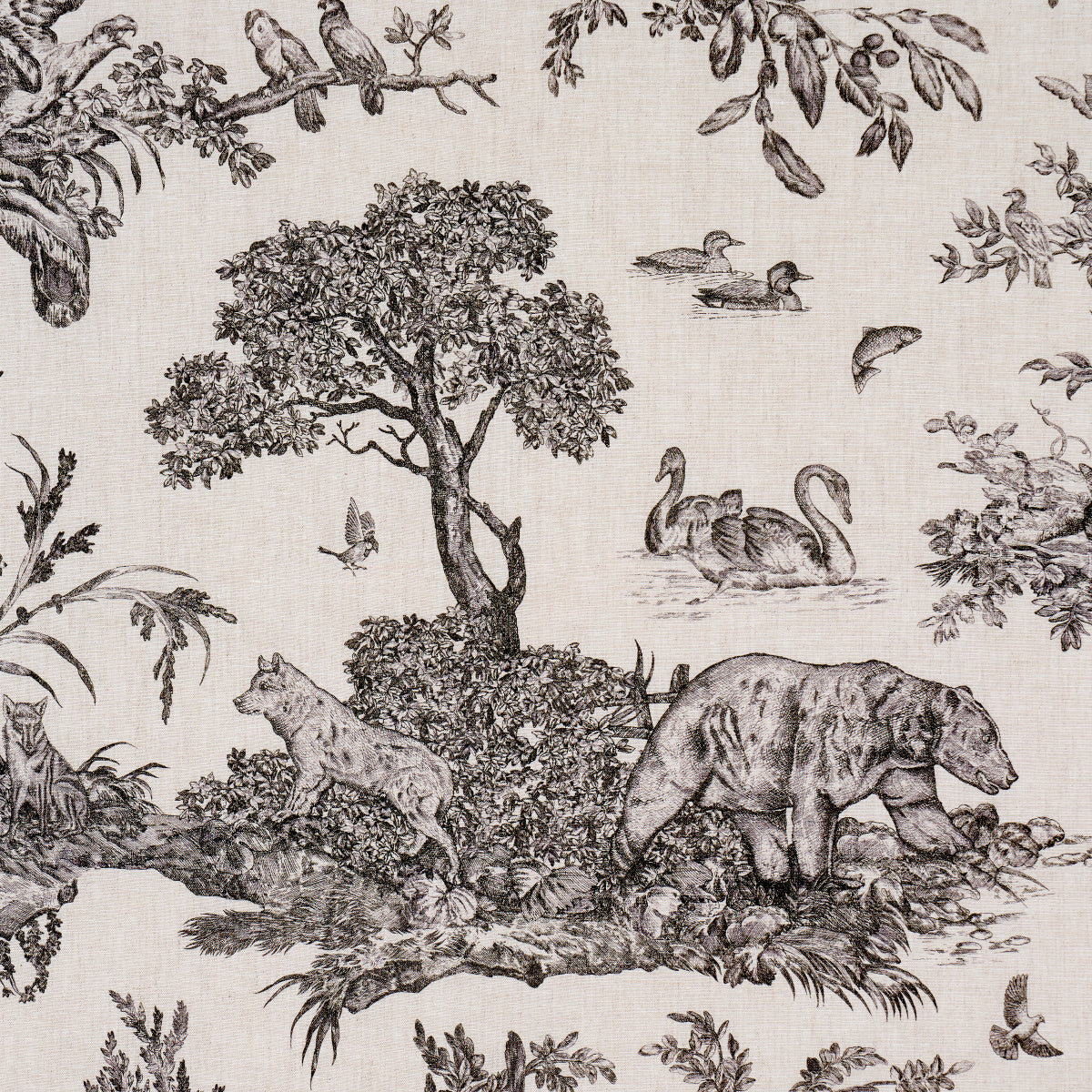 WESTERN-TOILE-CARBON-SCHUMACHER-182270