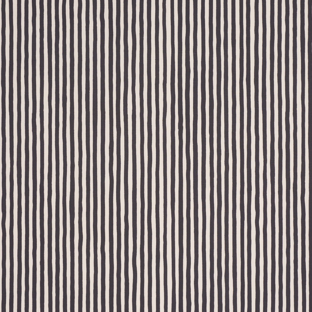 CHANEY-STRIPE-CARBON-SCHUMACHER-182552