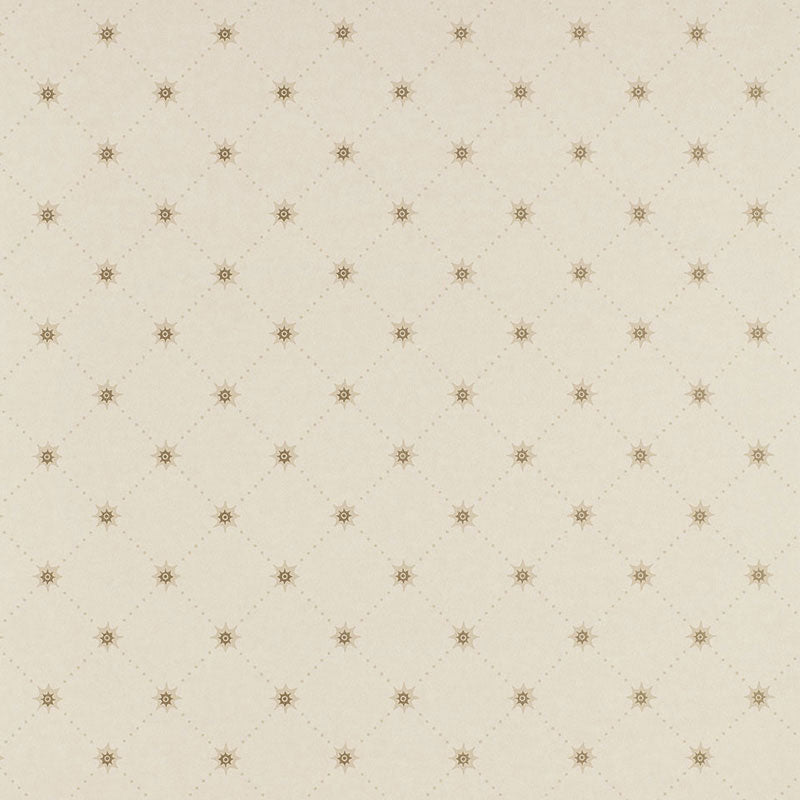 COOPER-STAR-ALABASTER-SCHUMACHER-203610