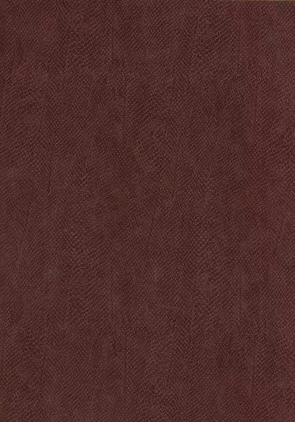 prairie-snake-charmer-oxblood-osborne-little-f6391-03