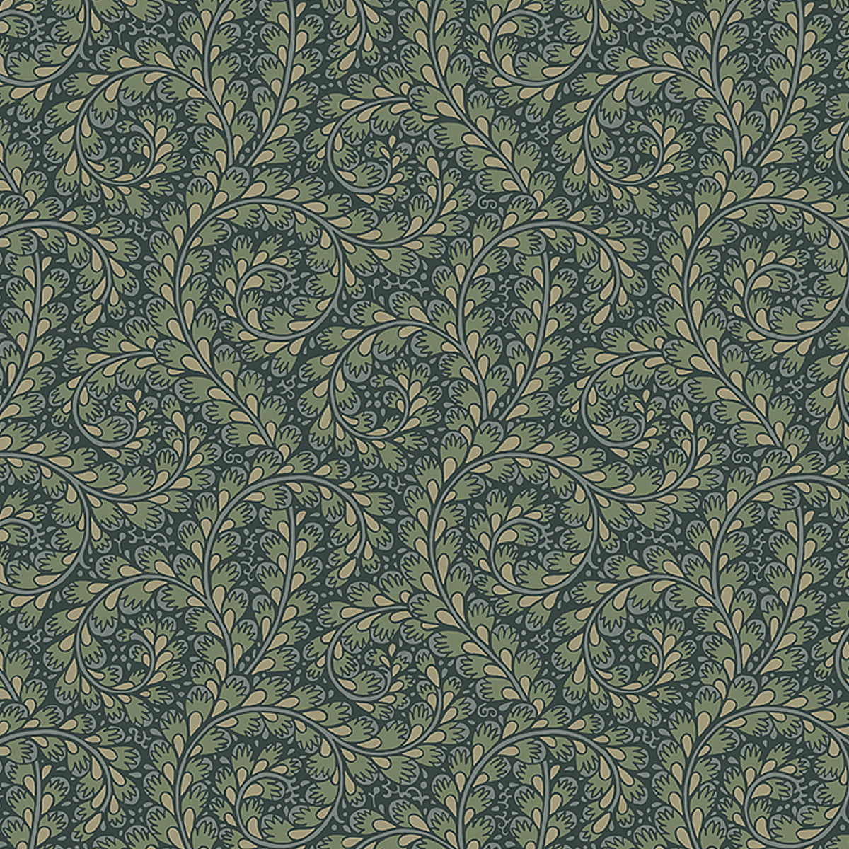 WILD-FERNS-SPRUCE-SCHUMACHER-2258
