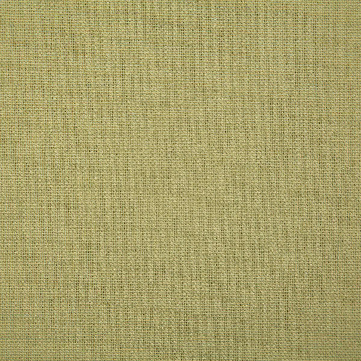 2381-callahan-olive-pindler