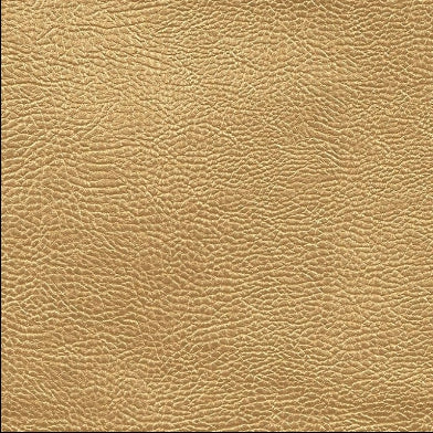 atacama-designers-guild-fdg2168-03