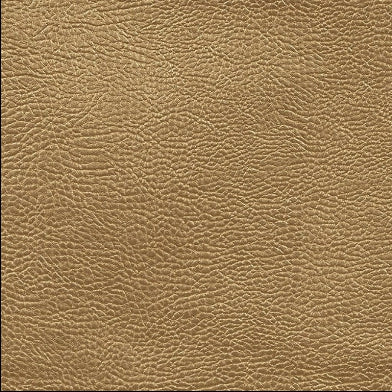 atacama-designers-guild-fdg2168-04
