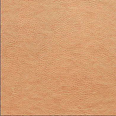atacama-designers-guild-fdg2168-05