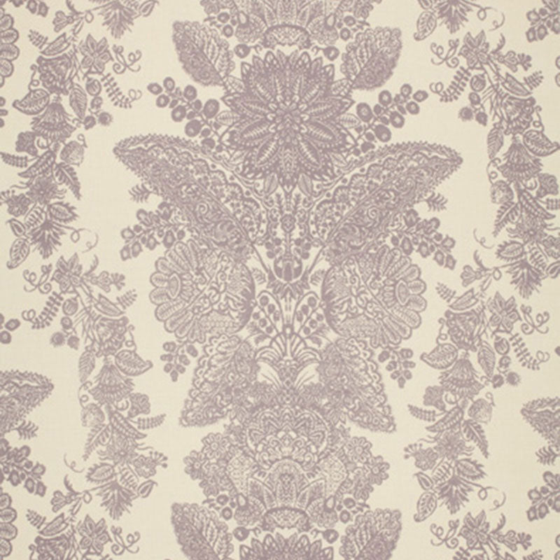 LACE-ORCHID-SCHUMACHER-2643832