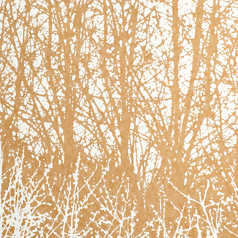 BIRCHES-TAN-SCHUMACHER-2707245