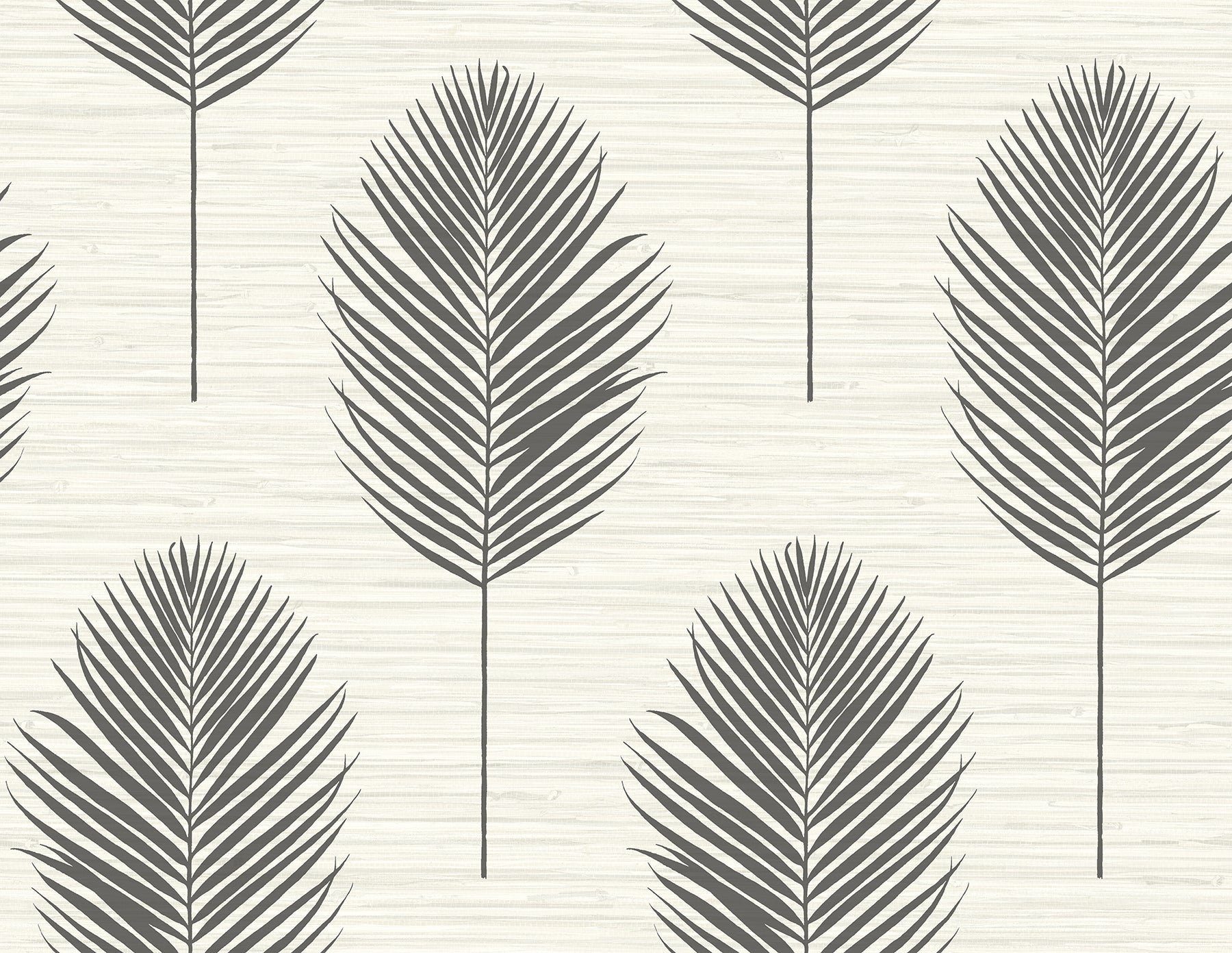 bali-coral-fern-wallpaper-black-york-wallcoverings-2988-70210