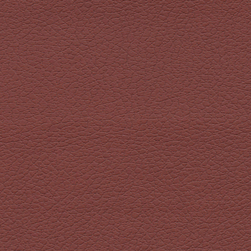 BRISA-RAISIN-SCHUMACHER-303-1373