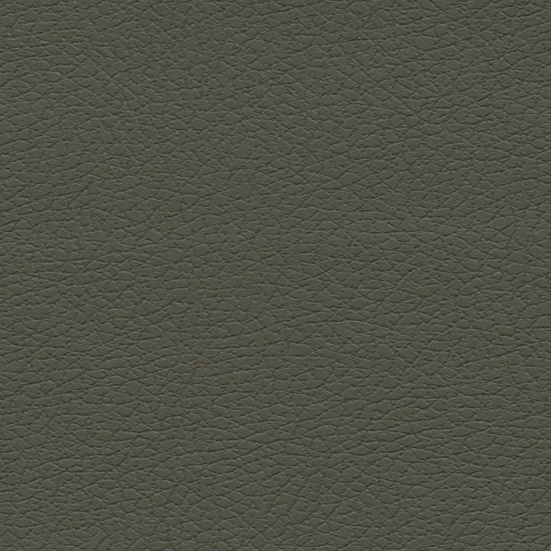 BRISA-OLIVE-SCHUMACHER-303-4488