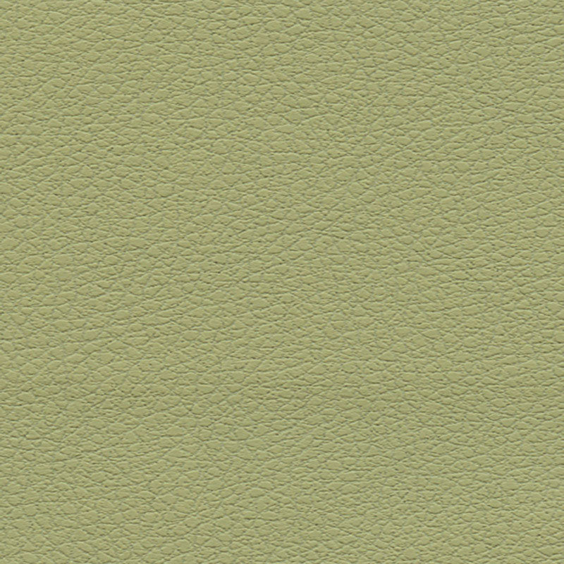 BRISA-CELERY-SCHUMACHER-303-4510