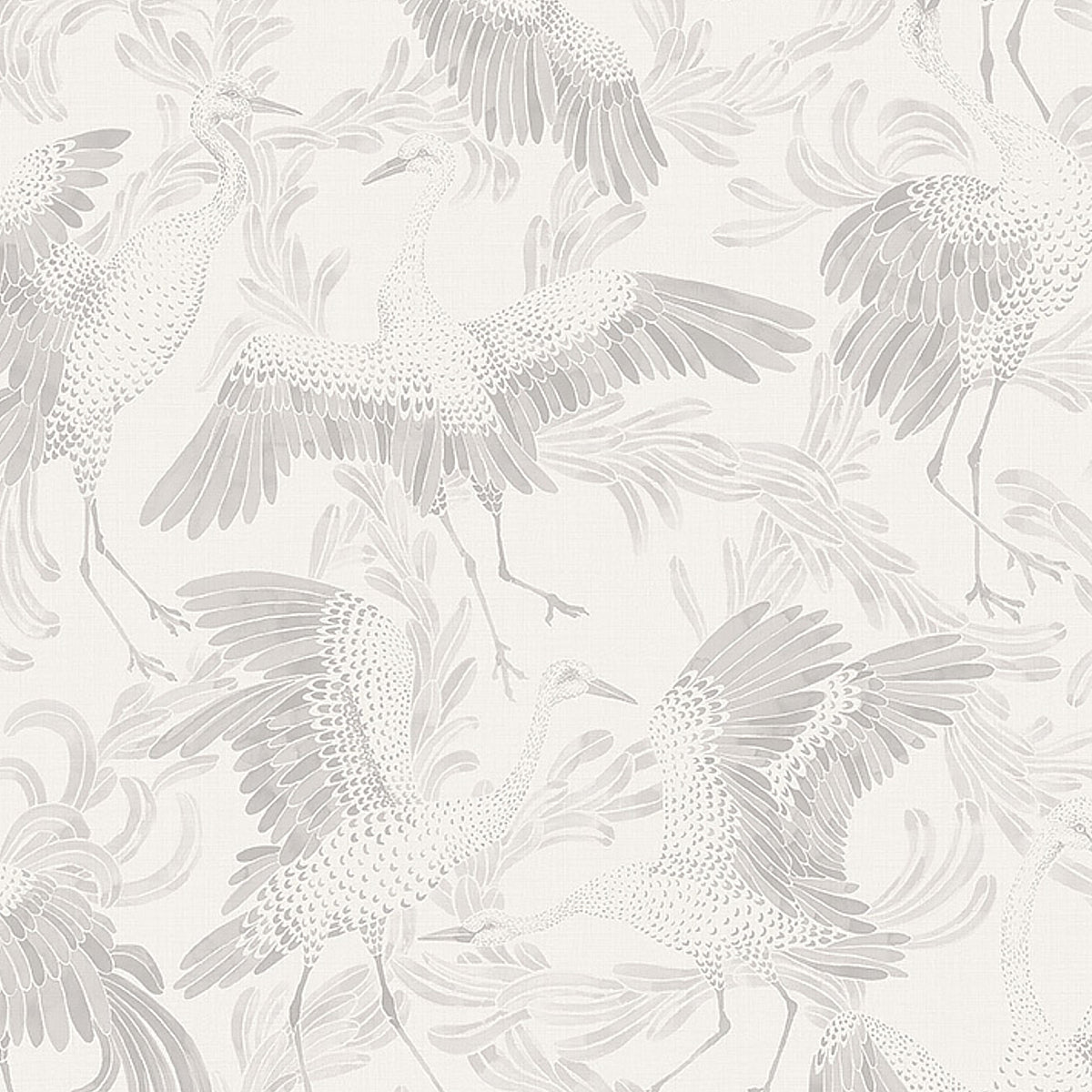 DANCING-CRANE-GREY-SCHUMACHER-3130