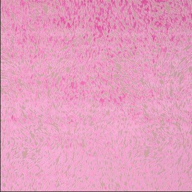 torlonia-designers-guild-fdg2257-12