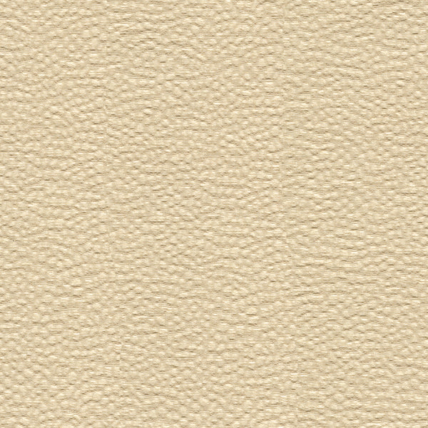 Kravet Contract Fabric 32479.1 Nala Shell