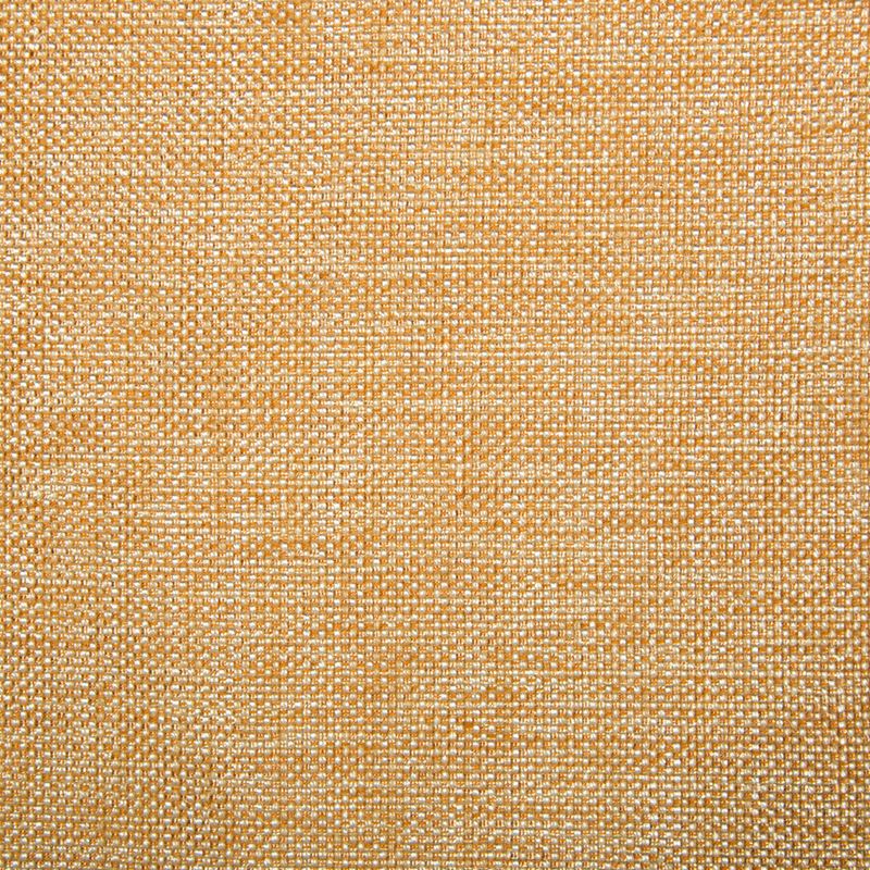 Fabric 34939.1211 Kravet Smart by