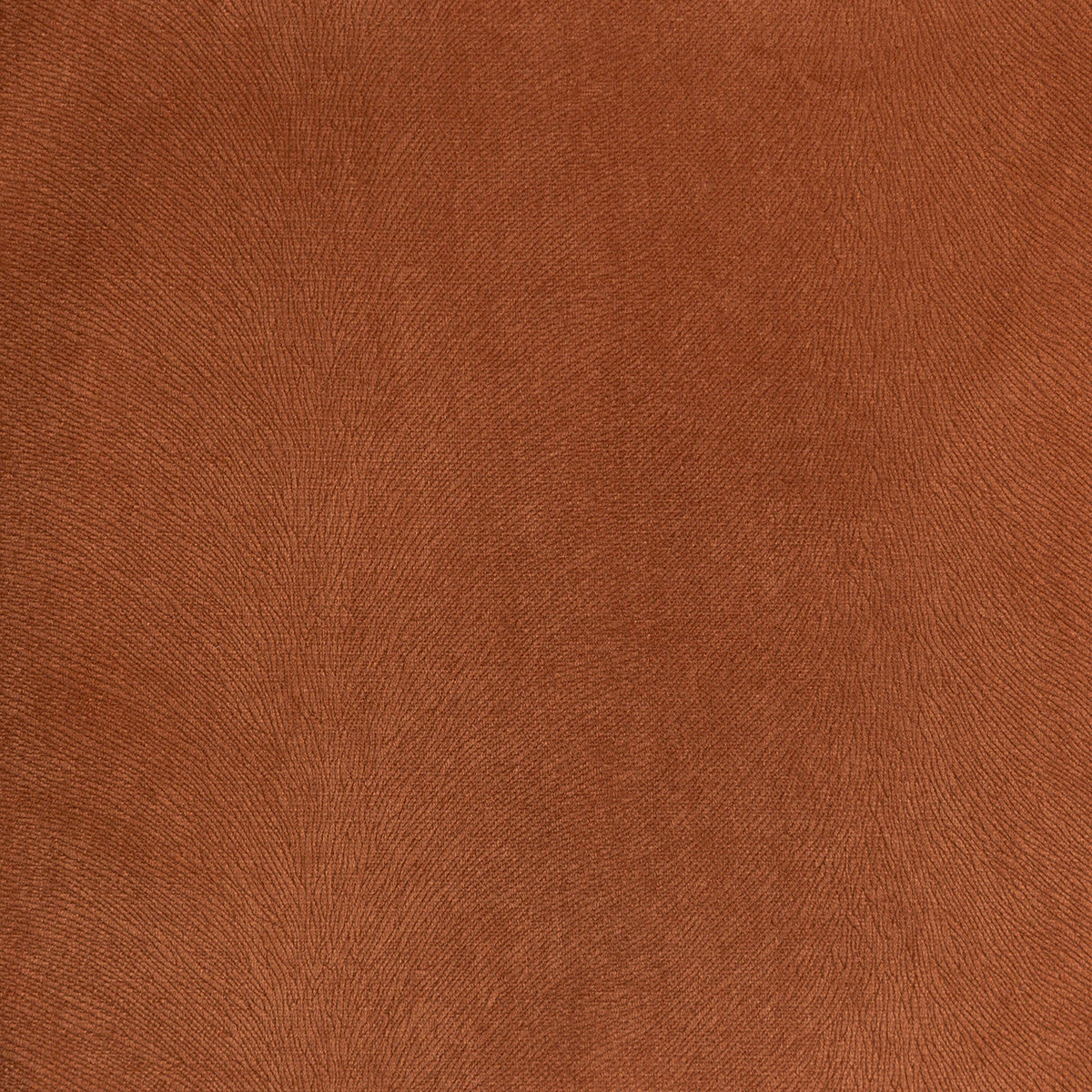 3767-overton-spice-pindler