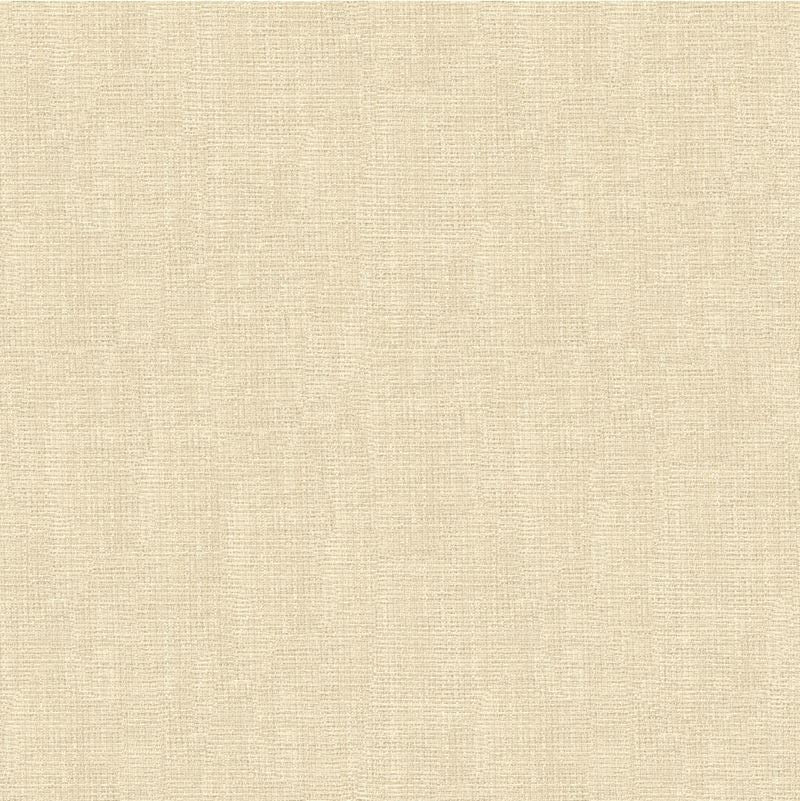 Fabric 4161.1 Kravet Contract by