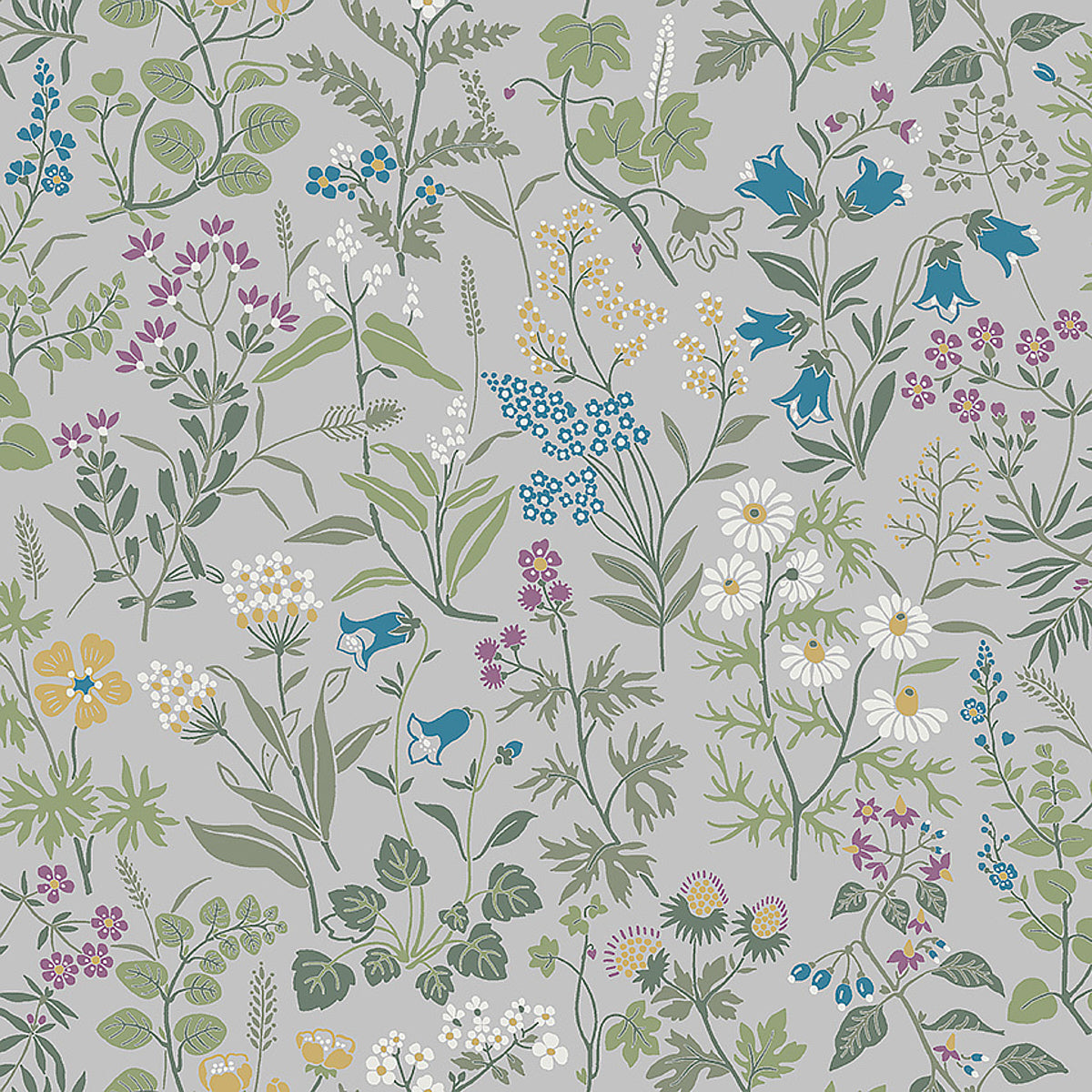 FLORA-GREY-SCHUMACHER-4182