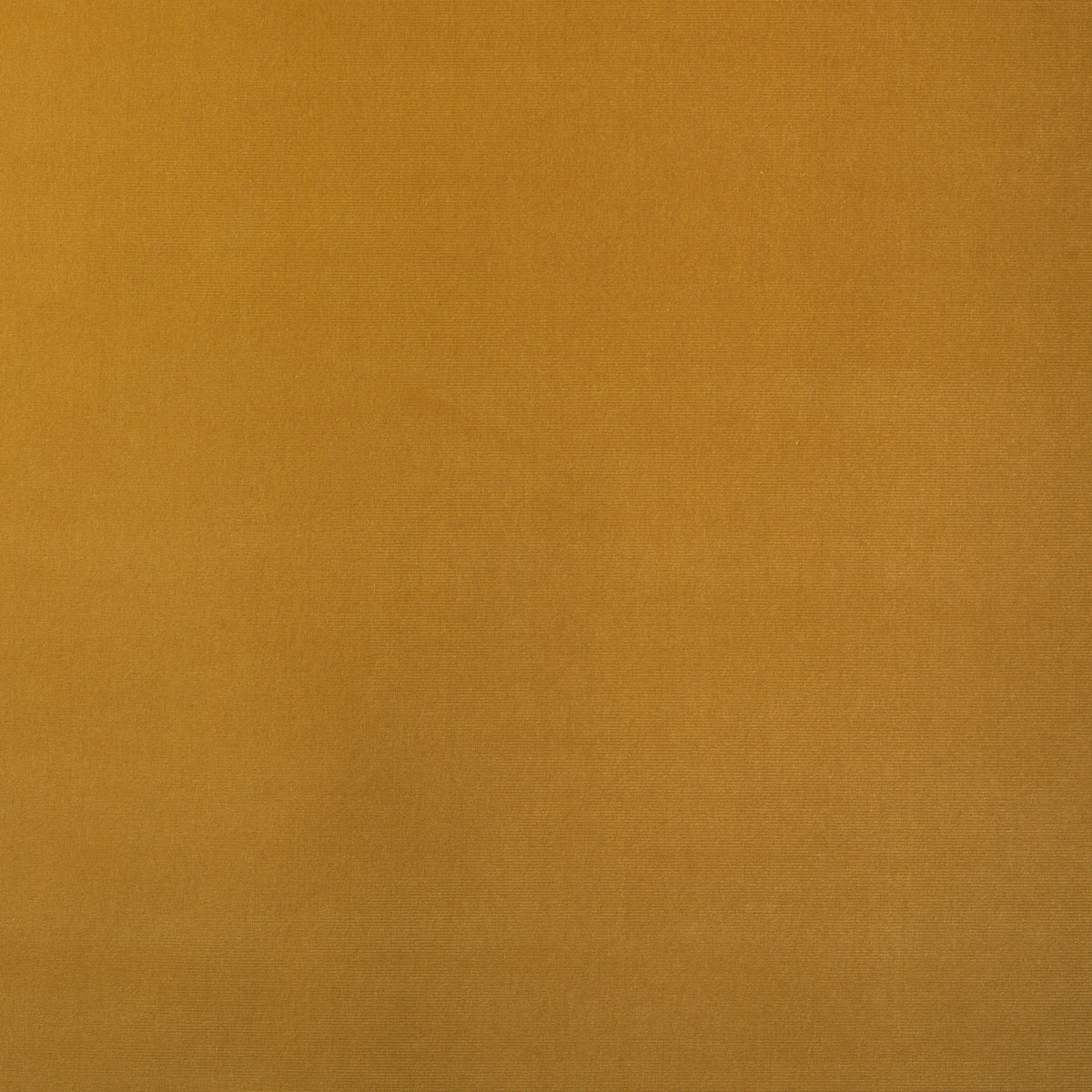 GAINSBOROUGH-VELVET-WHEAT-SCHUMACHER-42825