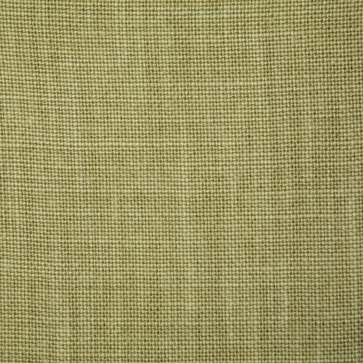 4580-fabienne-lime-pindler