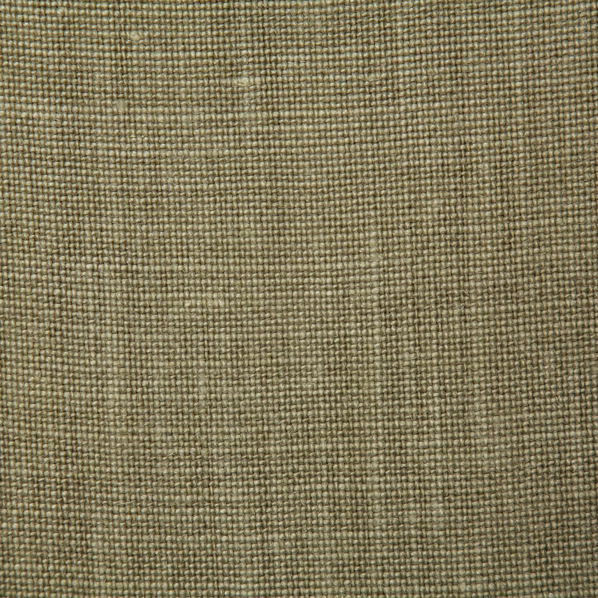 4580-fabienne-olive-pindler