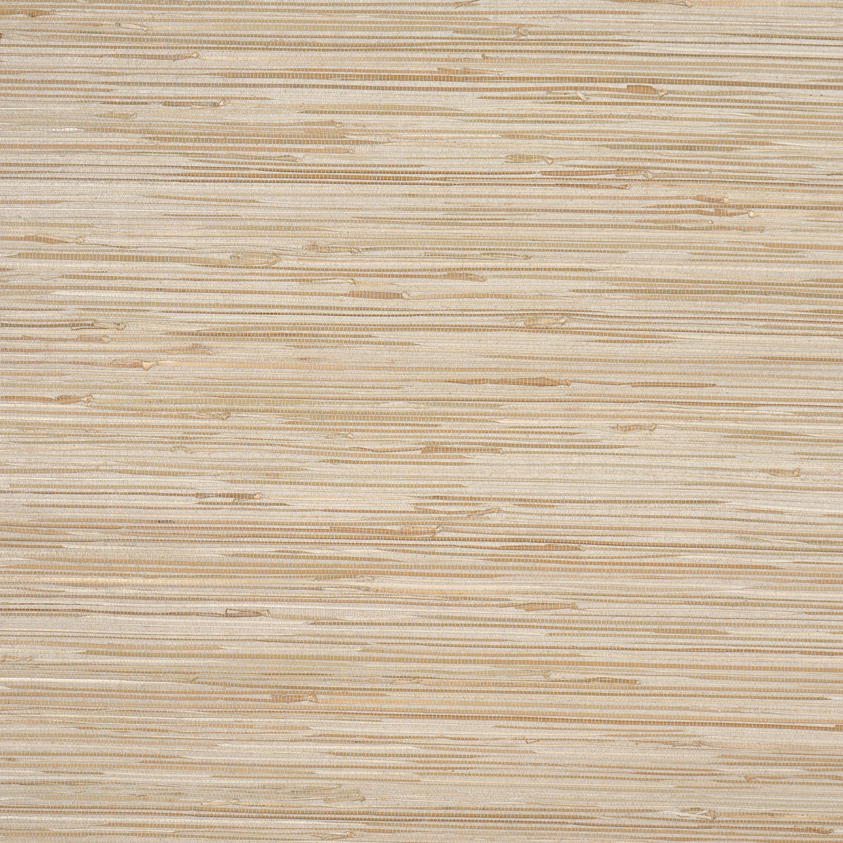 NAMI-RUSHCLOTH-SLATE-SCHUMACHER-5002862