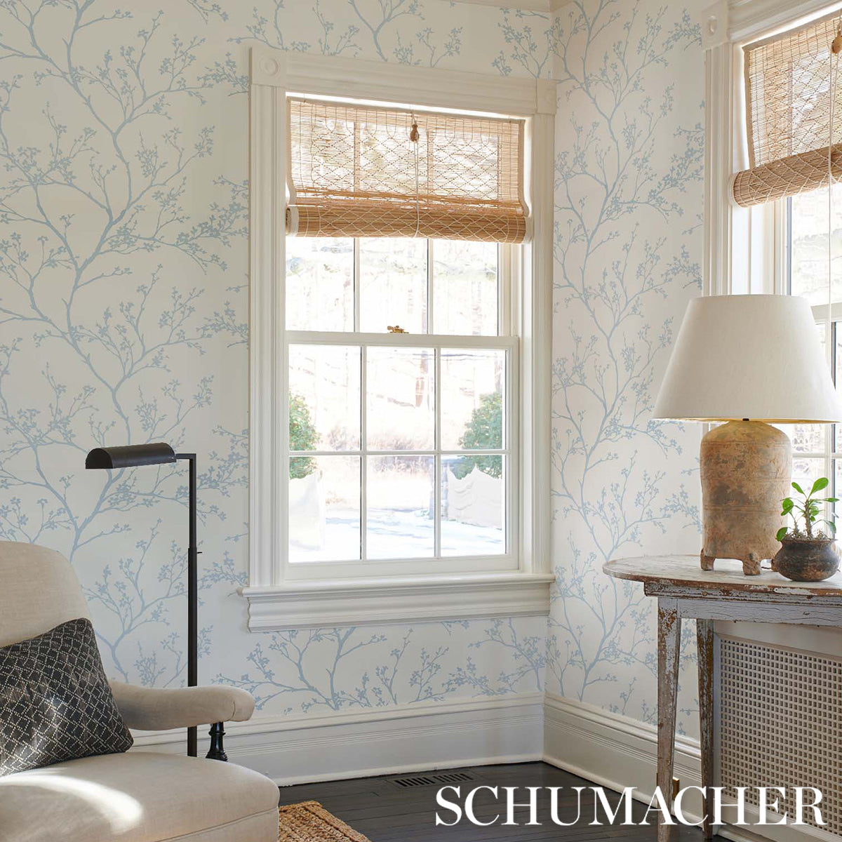 TWIGGY-SKY-SCHUMACHER-5003344