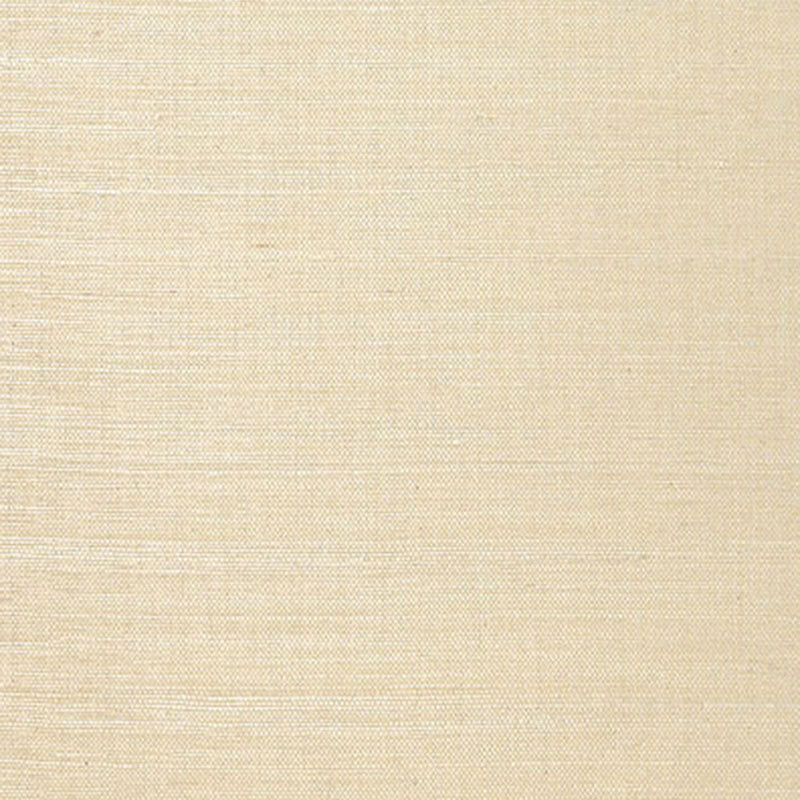 LINYI-GROUND-CREAM-SCHUMACHER-5003590