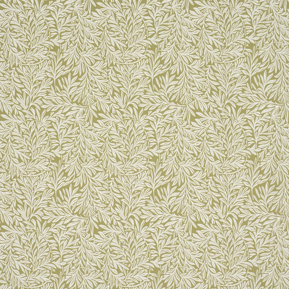 WILLOW-LEAF-MOSS-SCHUMACHER-5004137