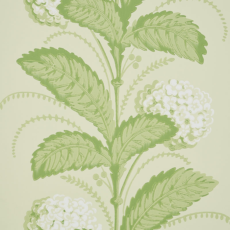 HYDRANGEA-DRAPE-GREEN-SCHUMACHER-5004456