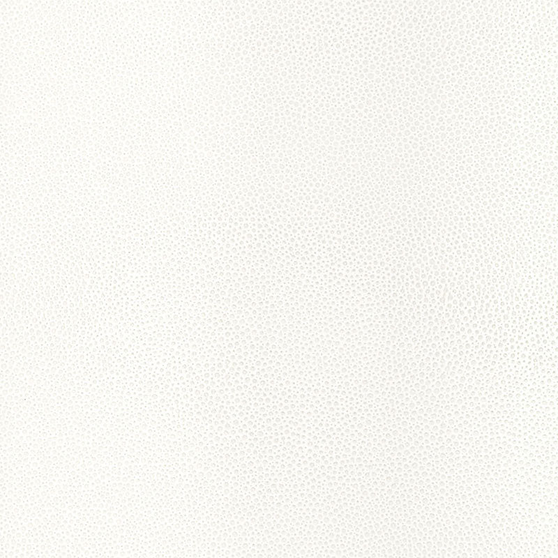 SHAGREEN-WHITE-PEARL-SCHUMACHER-5005853