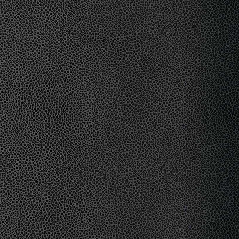 SHAGREEN-CARBON-SCHUMACHER-5005857