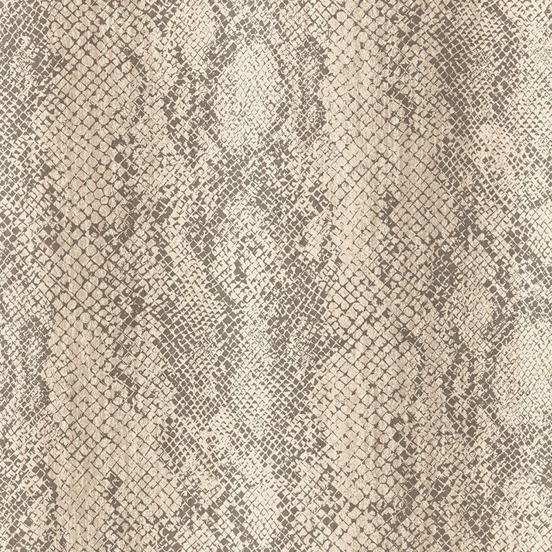 CODY-SNAKESKIN-MALT-SCHUMACHER-5006232