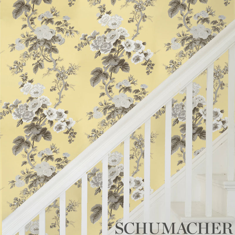 PYNE-HOLLYHOCK-BUTTERCUP-SCHUMACHER-5006925