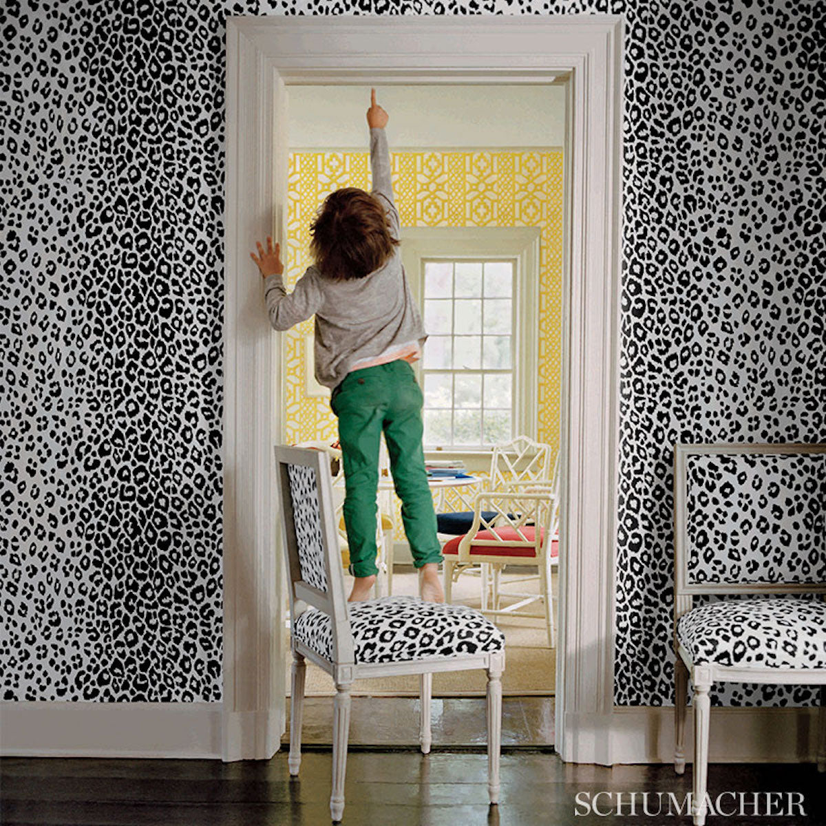ICONIC-LEOPARD-GRAPHITE-SCHUMACHER-5007012