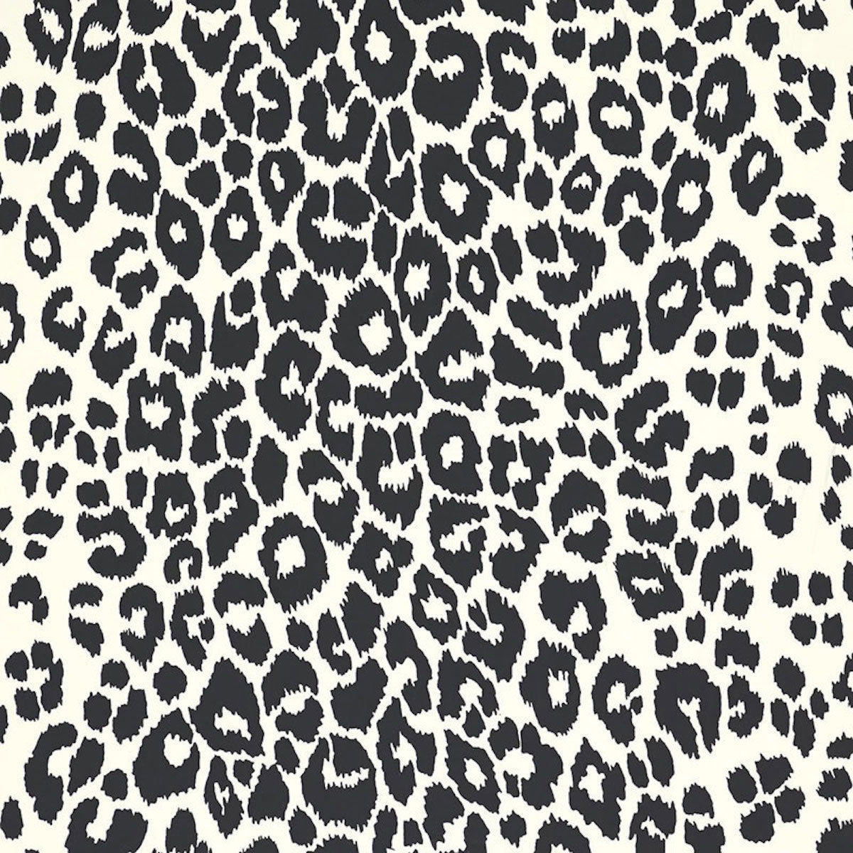 ICONIC-LEOPARD-GRAPHITE-SCHUMACHER-5007012