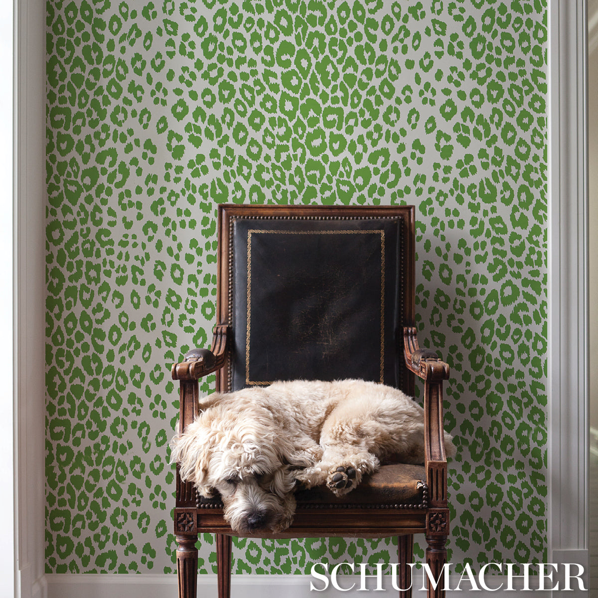 ICONIC-LEOPARD-GREEN-SCHUMACHER-5007015