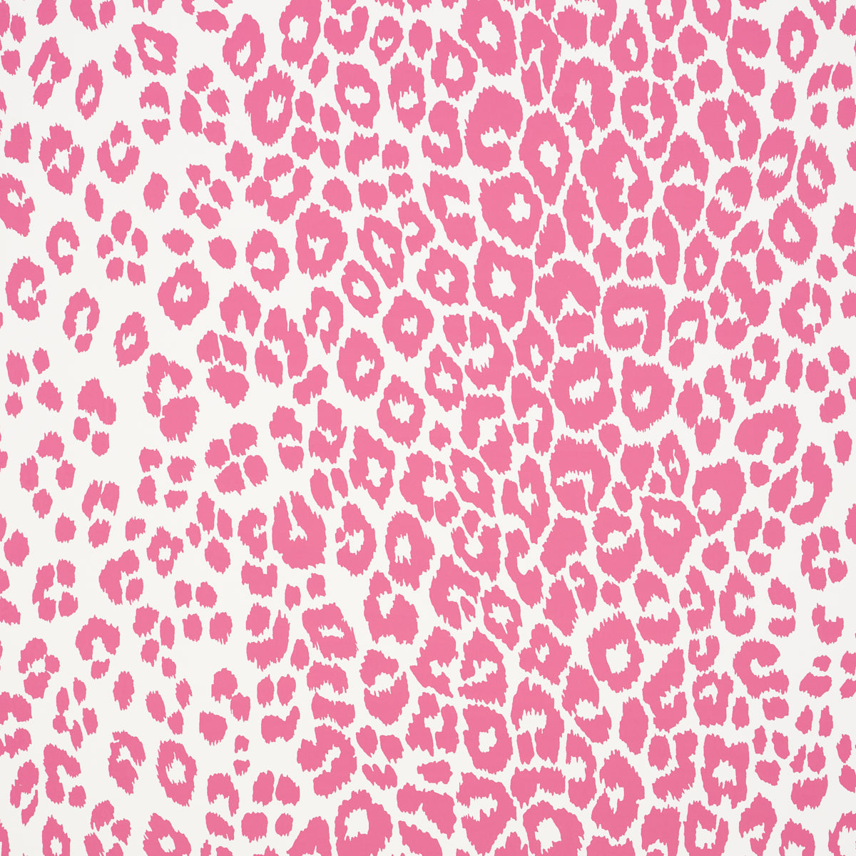 ICONIC-LEOPARD-PINK-SCHUMACHER-5007016