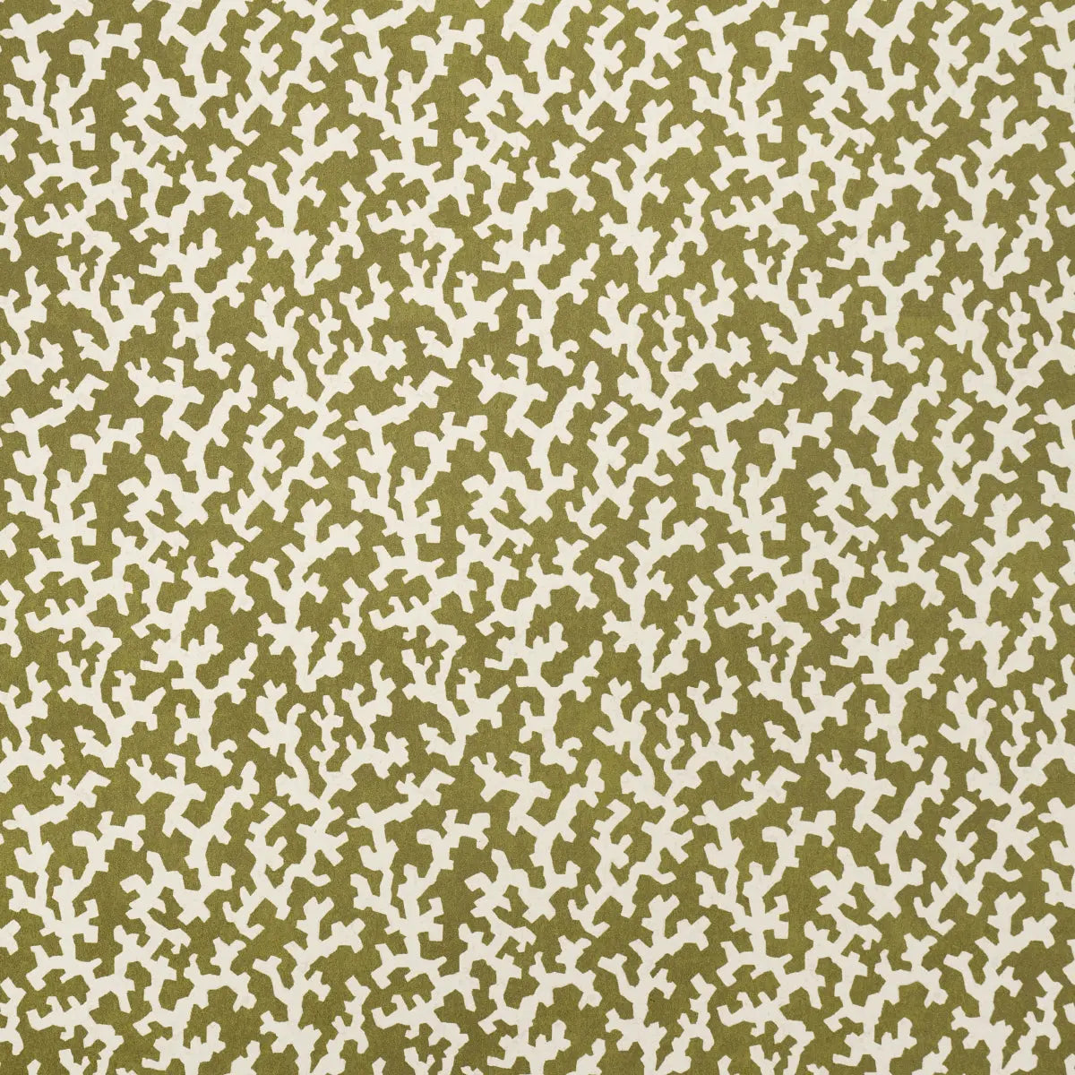 FOLLY-OLIVE-SCHUMACHER-5008008