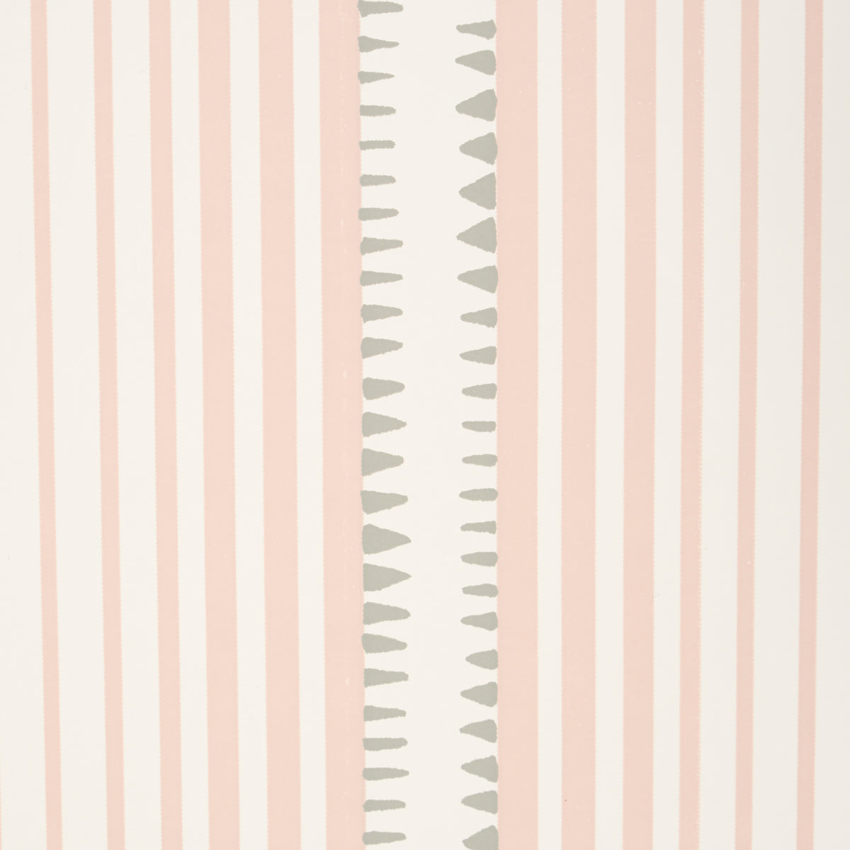 MONCORVO-PINK-SCHUMACHER-5008106