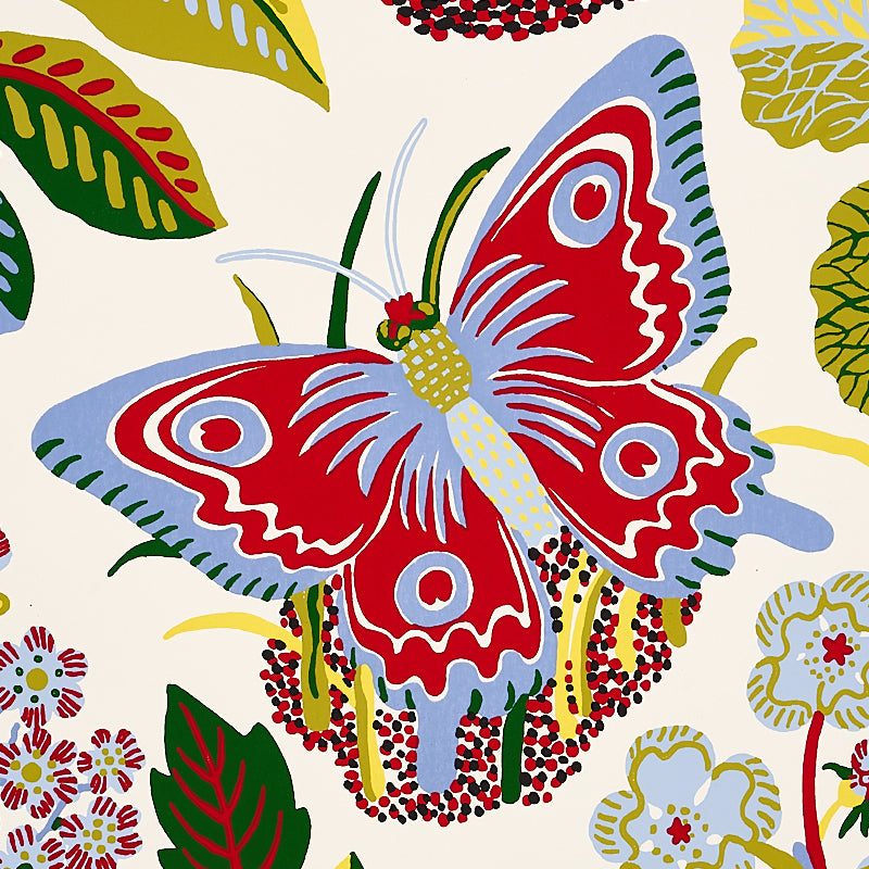 EXOTIC-BUTTERFLY-MULTI-SCHUMACHER-5008421