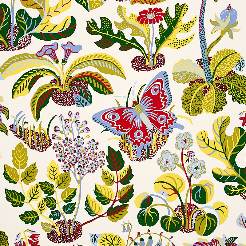 EXOTIC-BUTTERFLY-MULTI-SCHUMACHER-5008423