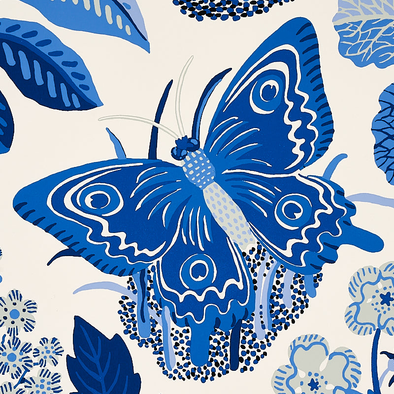 EXOTIC-BUTTERFLY-MARINE-SCHUMACHER-5008423