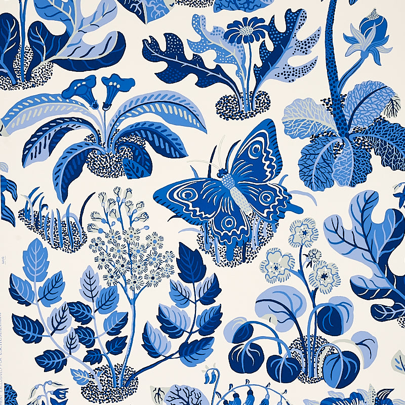 EXOTIC-BUTTERFLY-MARINE-SCHUMACHER-5008423