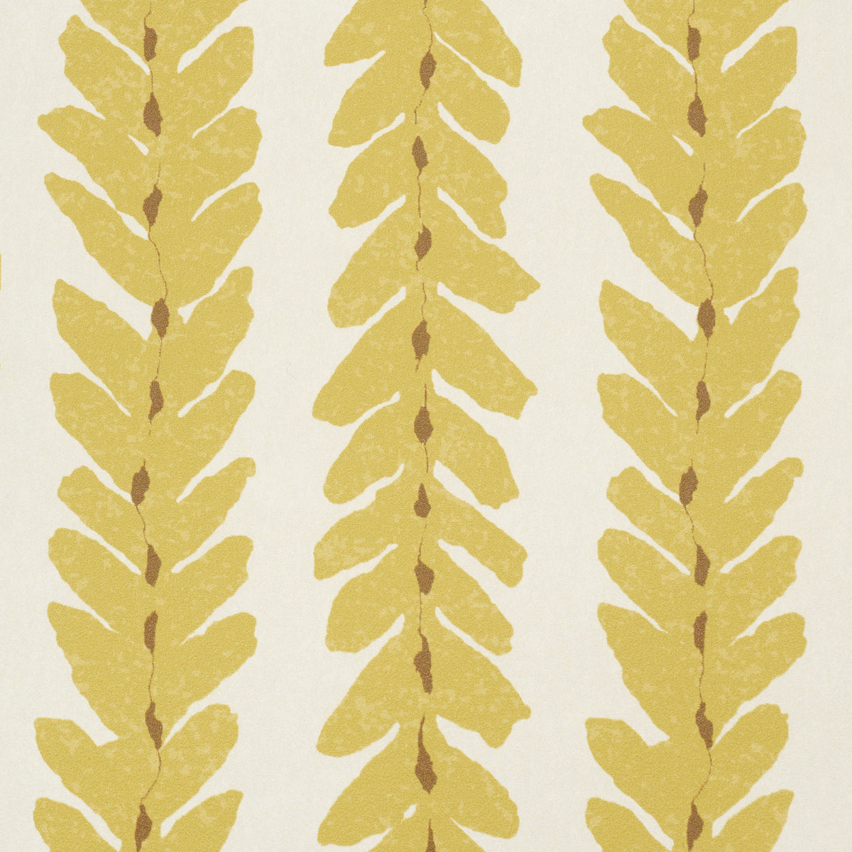 WOODPERRY-MIMOSA-SCHUMACHER-5008795