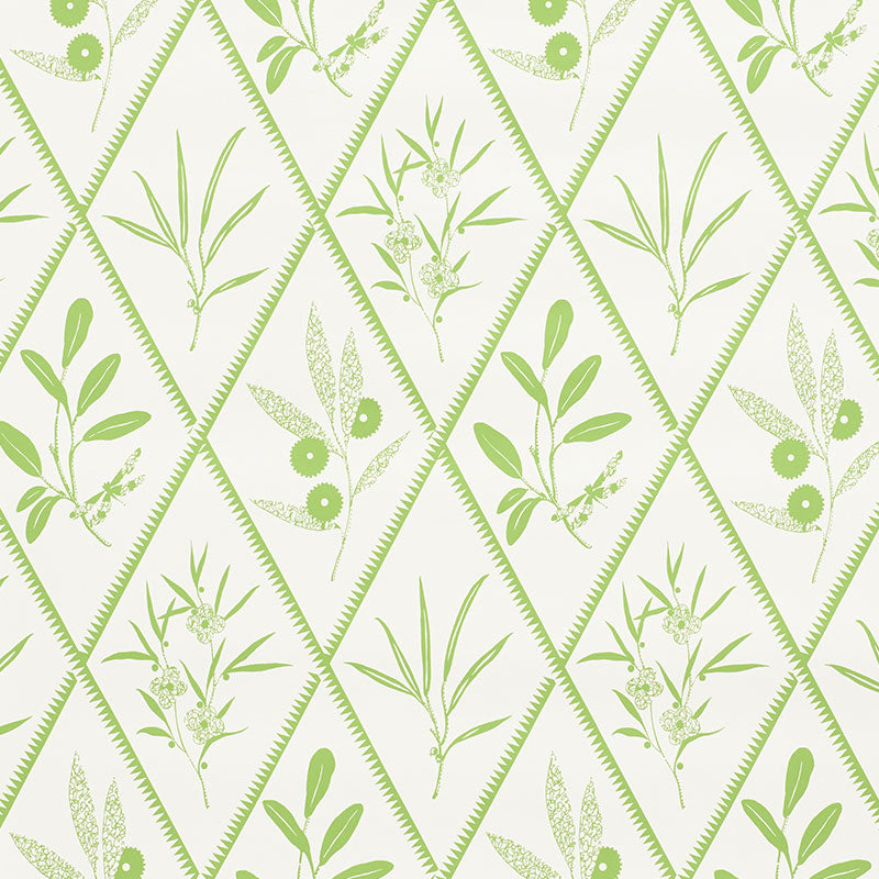 ENDIMIONE-LEAF-SCHUMACHER-5009371